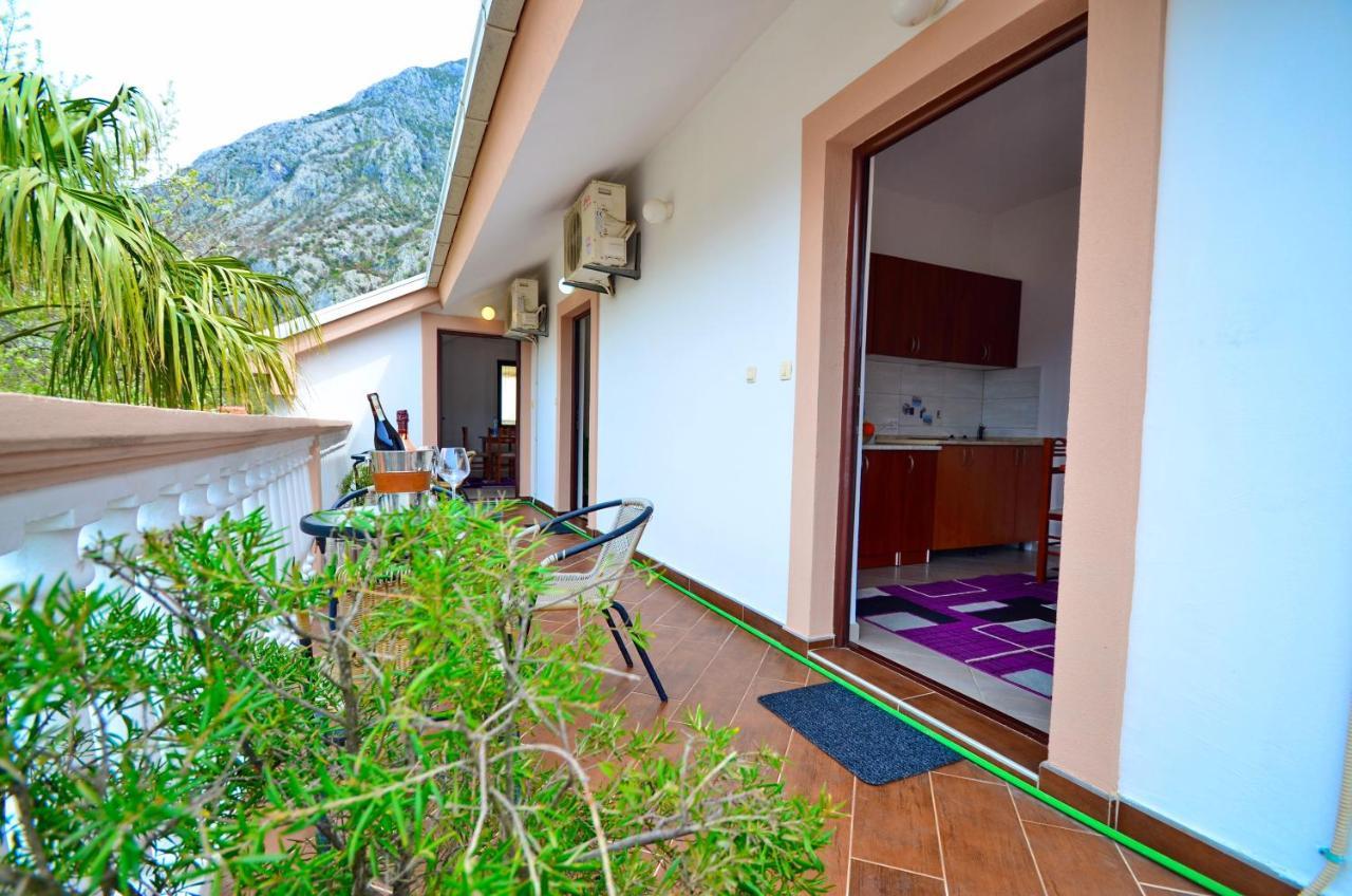 Apartments Blue Lagoon 科托尔 外观 照片